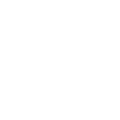 icona-flag2
